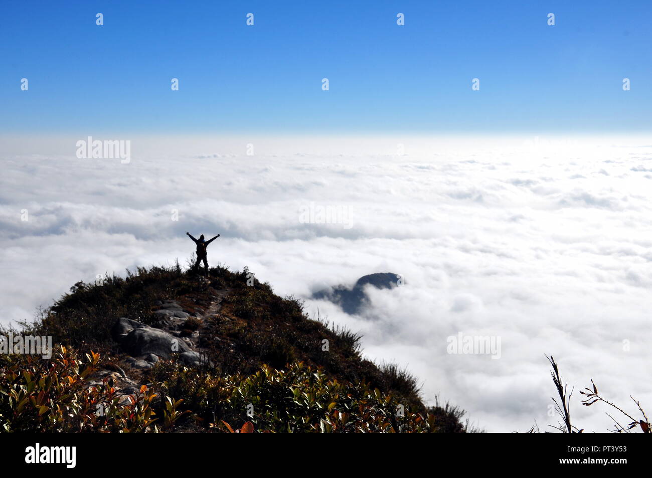 Crazy sulla cima della montagna - così folle sulla cima della montagna - Bach Moc Luong Tu, e la quarta più alta montagna in Viet Nam - Lao Cai, Lai Chau Foto Stock