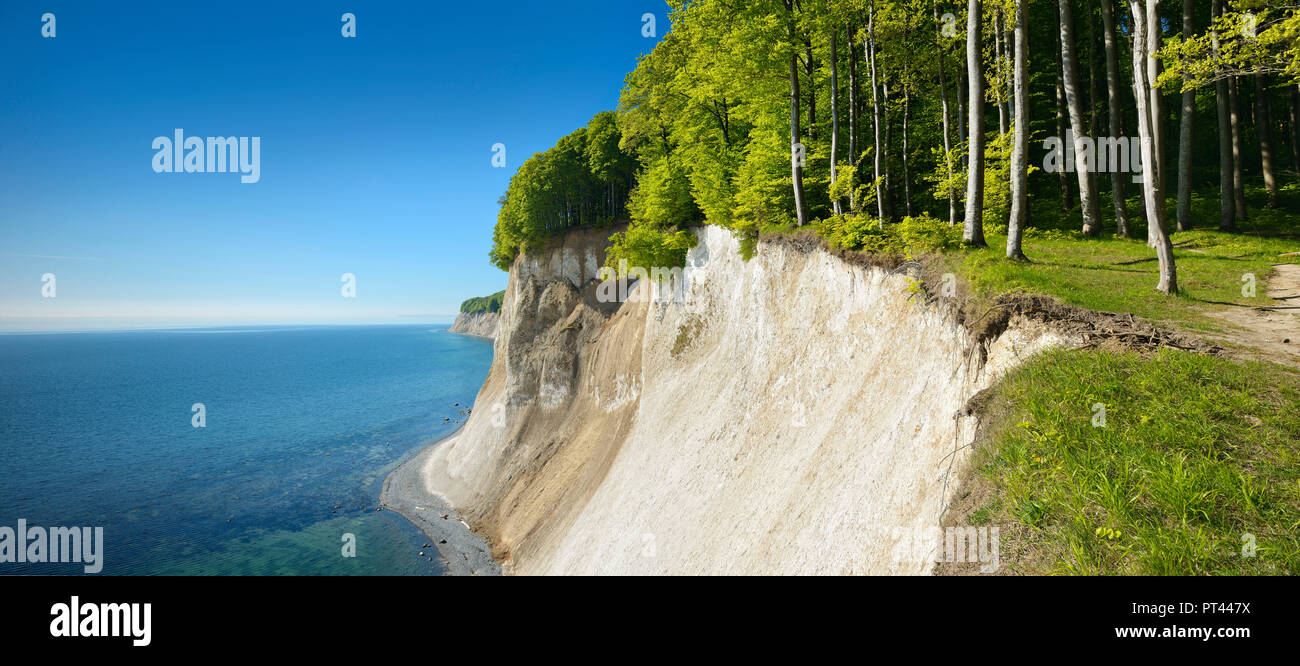 Germania, Meclenburgo-Pomerania Occidentale, Rügen Isola, Jasmund National Park, vista dall'alto shore a Chalk cliffs e il Mar Baltico, molla fresco verde Foto Stock
