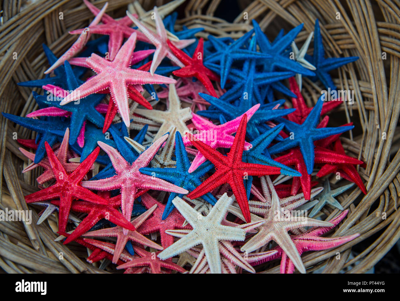 Starfish tinti in vendita Foto Stock