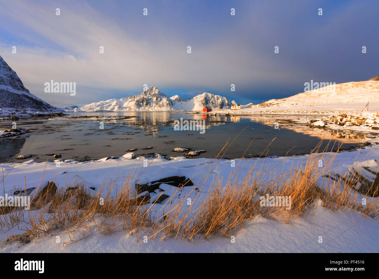 Mare e montagna, Vagjebukta, Leknes, Isole Lofoten in Norvegia Foto Stock