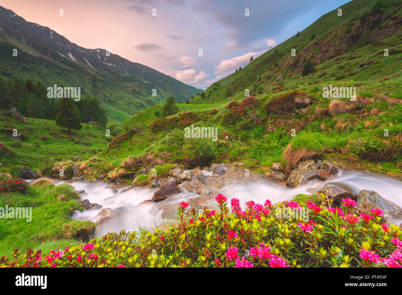 Sunrise nel Parco Nazionale dello Stelvio, provincia di Brescia, Lombardia distretto, Italia, Europa Foto Stock
