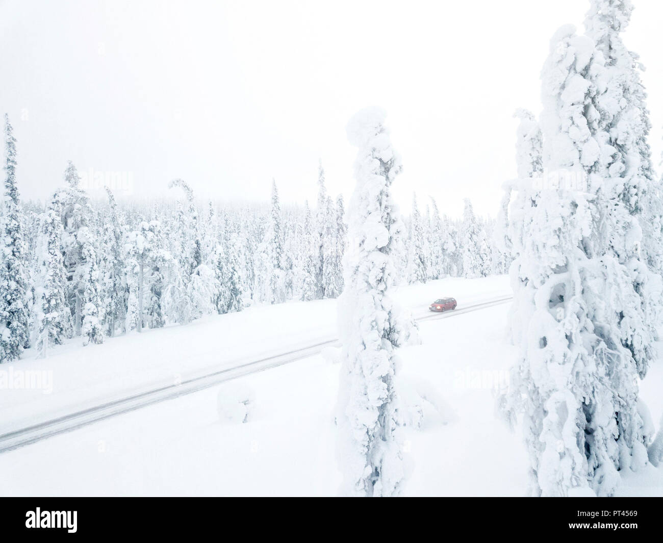 Vista in elevazione della macchina sulla strada ghiacciata tra alberi congelati, Pallas-Yllastunturi National Park, Muonio, Lapponia, Finlandia Foto Stock