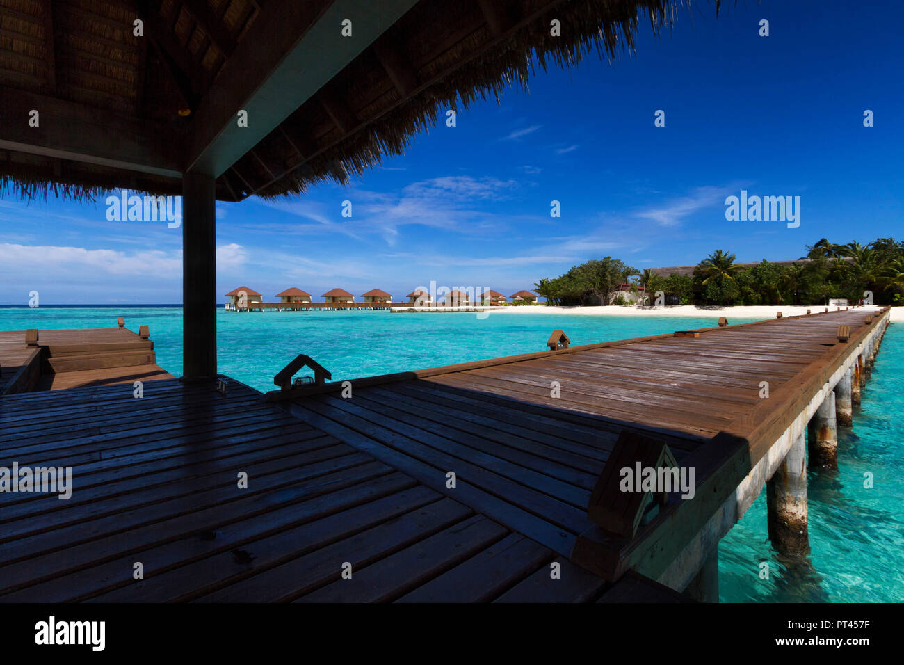 Maldive atollo di Ari Nord, Maayafushi, Oceano indiano, Asia del sud Foto Stock