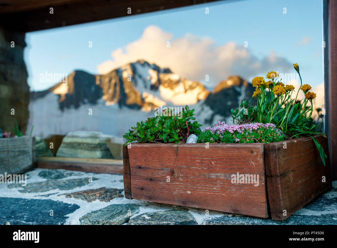 Il monte Disgrazia riflessa nella finestra di Del Grande Camerini rifugio al tramonto, Chiareggio, Valmalenco, provincia di Sondrio, Lombardia, Italia Foto Stock