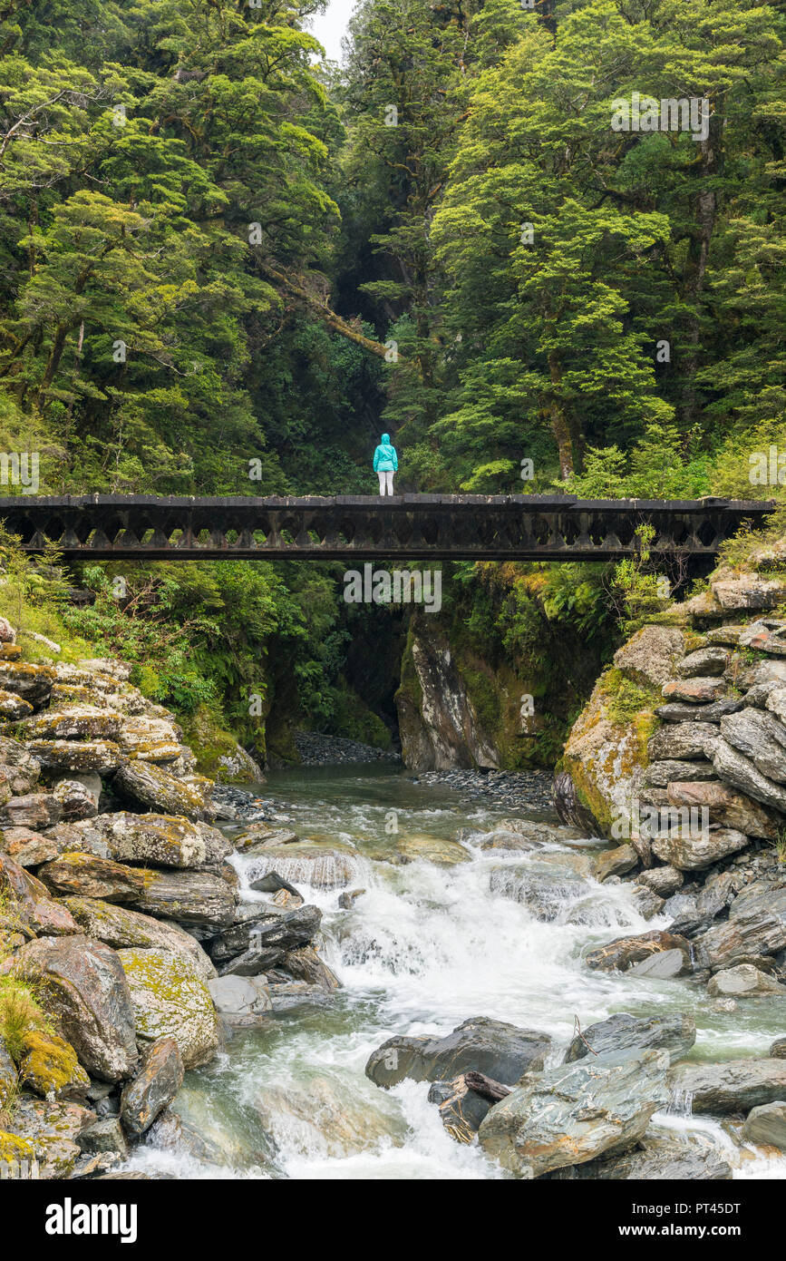 Persona in piedi su un ponte su un fiume vicino Haast Pass, montare gli aspiranti National Park, West Coast, regione di South Island, in Nuova Zelanda, Foto Stock