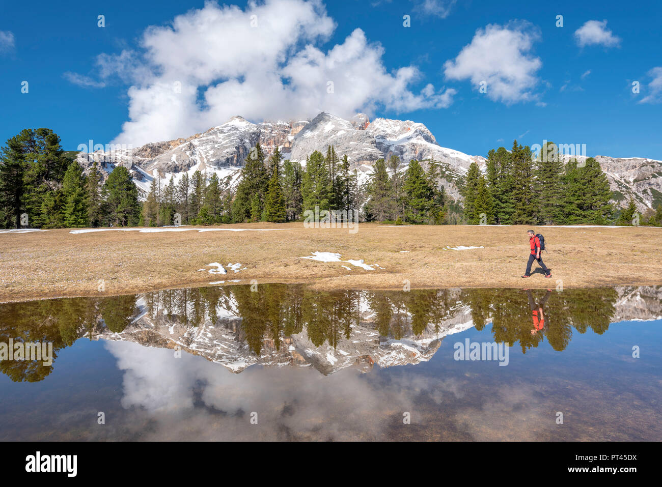 Prato Piazza / Prato Piazza, Dolomiti, Alto Adige, Italia, la Croda Rossa d'Ampezzo si è riflessa in una piscina sul Prato Piazza Foto Stock