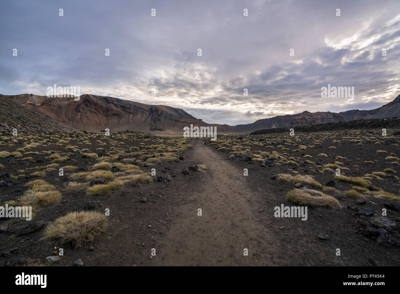 Sentiero attraverso il cratere di sud di Tongariro Alpine Crossing, Tongariro NP, Isola del nord, Nuova Zelanda, Foto Stock