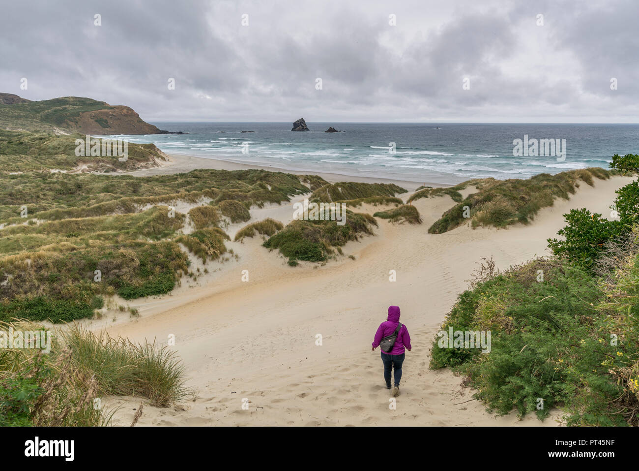 Donna che cammina verso Sandfly Bay su un nuvoloso giorno di estate, Dunedin district, regione di Otago, South Island, in Nuova Zelanda, Foto Stock