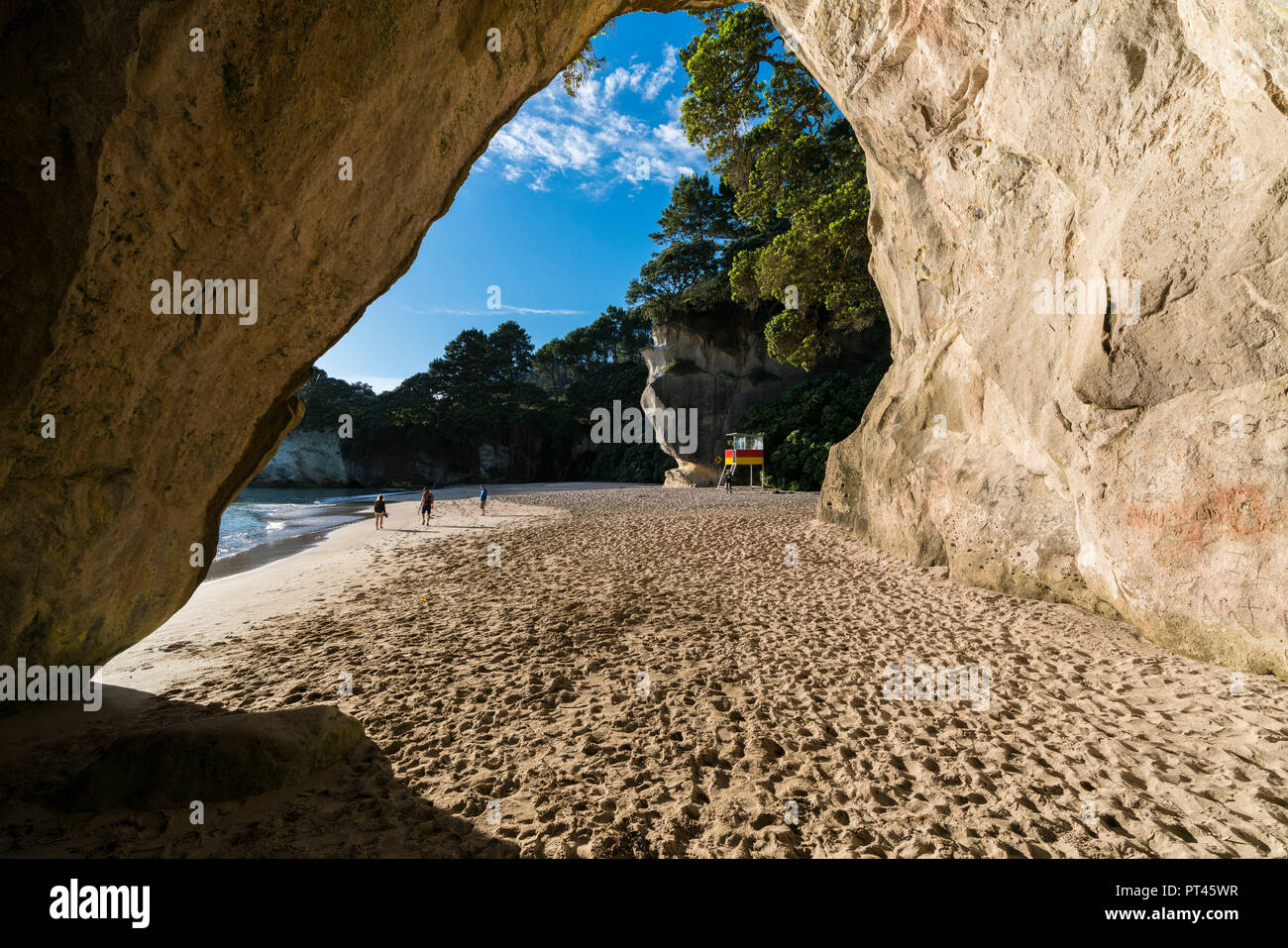 Bagnino di salvataggio la torre e la grotta di roccia del tunnel a Cove della cattedrale, Hahei, regione di Waikato, Isola del nord, Nuova Zelanda, Foto Stock