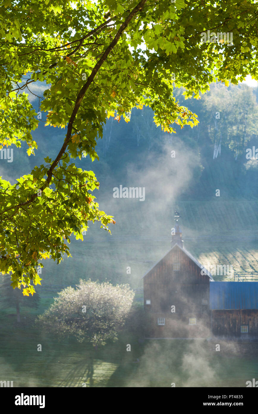 Stati Uniti d'America, New England, Vermont South Pomfret, fattoria in autunno Foto Stock