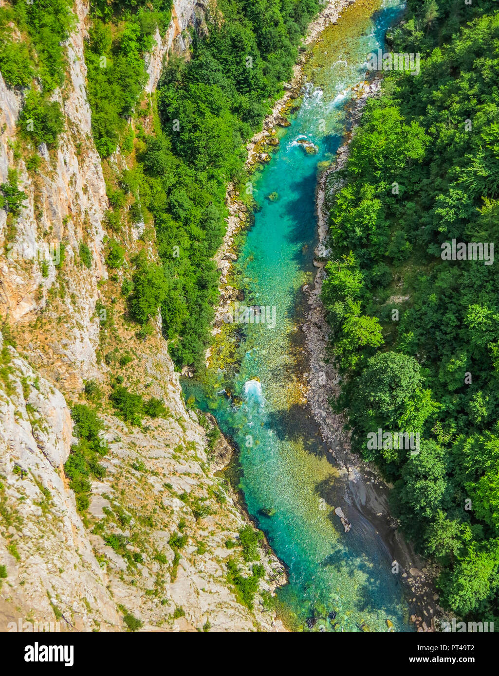 Fiume Tara canyon, Montenegro Foto Stock