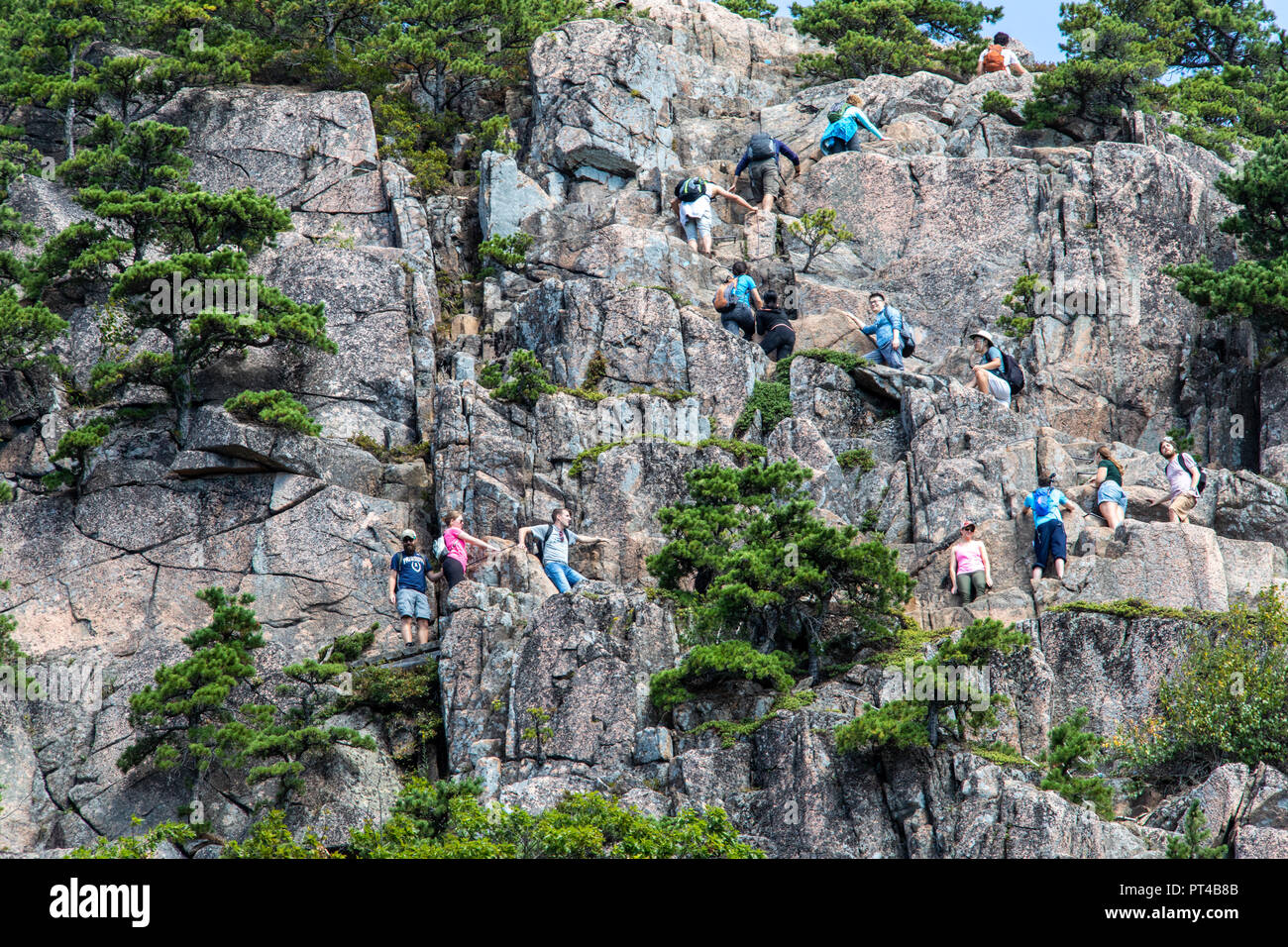 Beehive scogliere Trail, Beehive escursione in montagna, parco nazionale di Acadia, Maine, Stati Uniti d'America Foto Stock