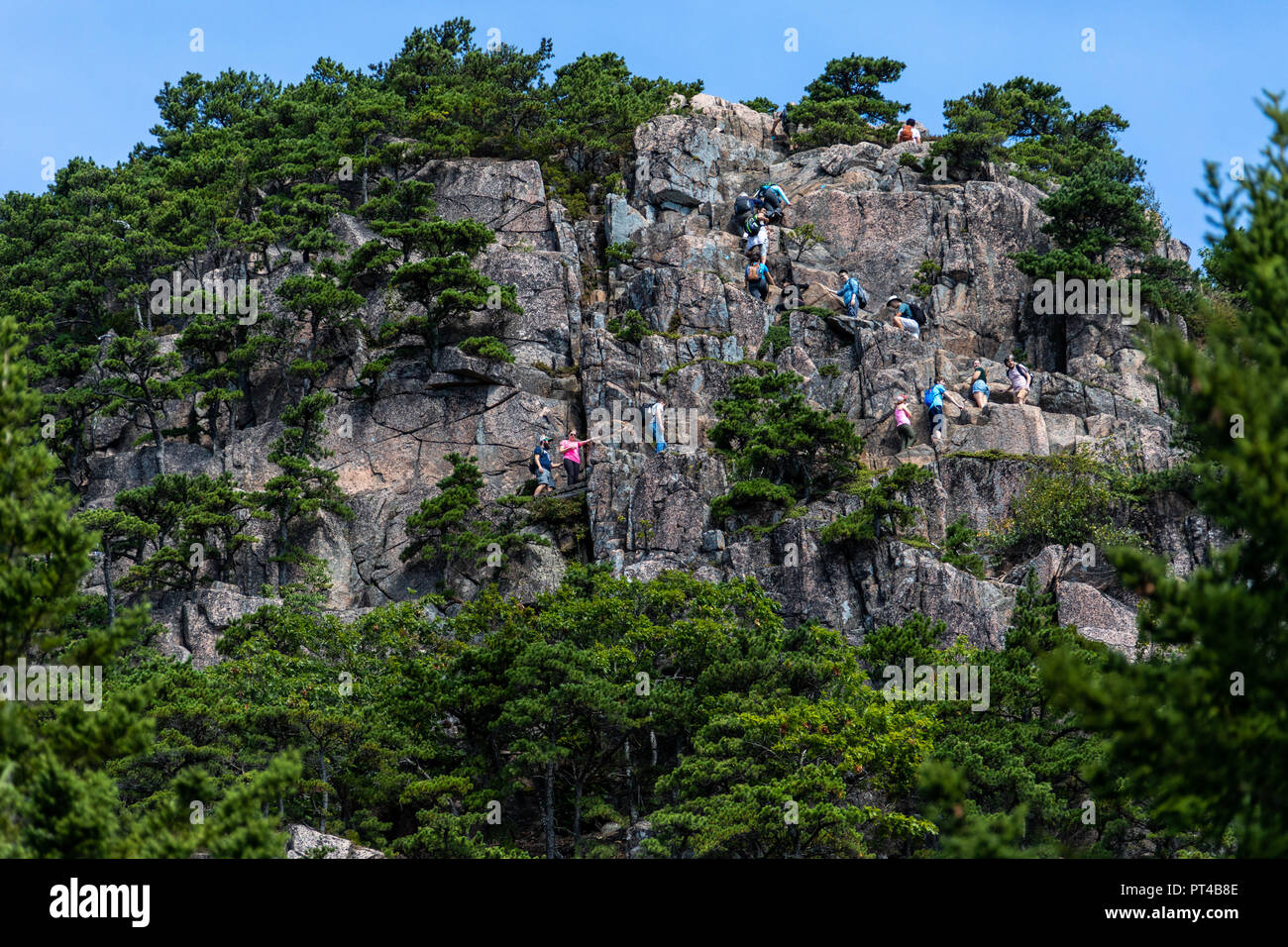 Beehive scogliere Trail, Beehive escursione in montagna, parco nazionale di Acadia, Maine, Stati Uniti d'America Foto Stock