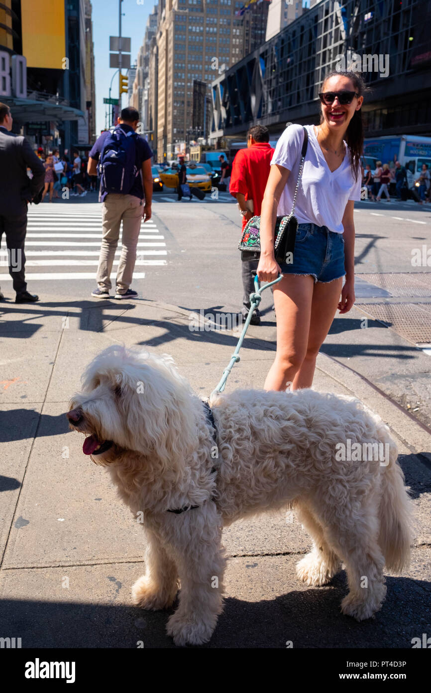 Un cane bianco e il suo proprietario sorridente sulla 8th Avenue a New York presso l'angolo con West 42nd Street in un posto molto soleggiato e caldo giorno d'estate Foto Stock