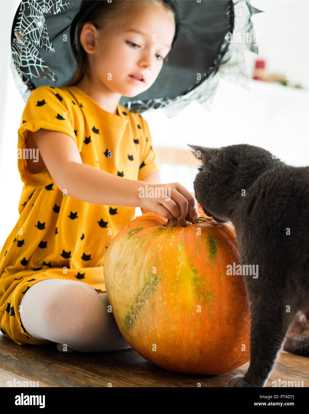 La ragazza di Witch Halloween costume seduto su un tavolo a giocare con la  zucca e il suo gatto di casa. Lo stile di vita di Halloween sfondo Foto  stock - Alamy