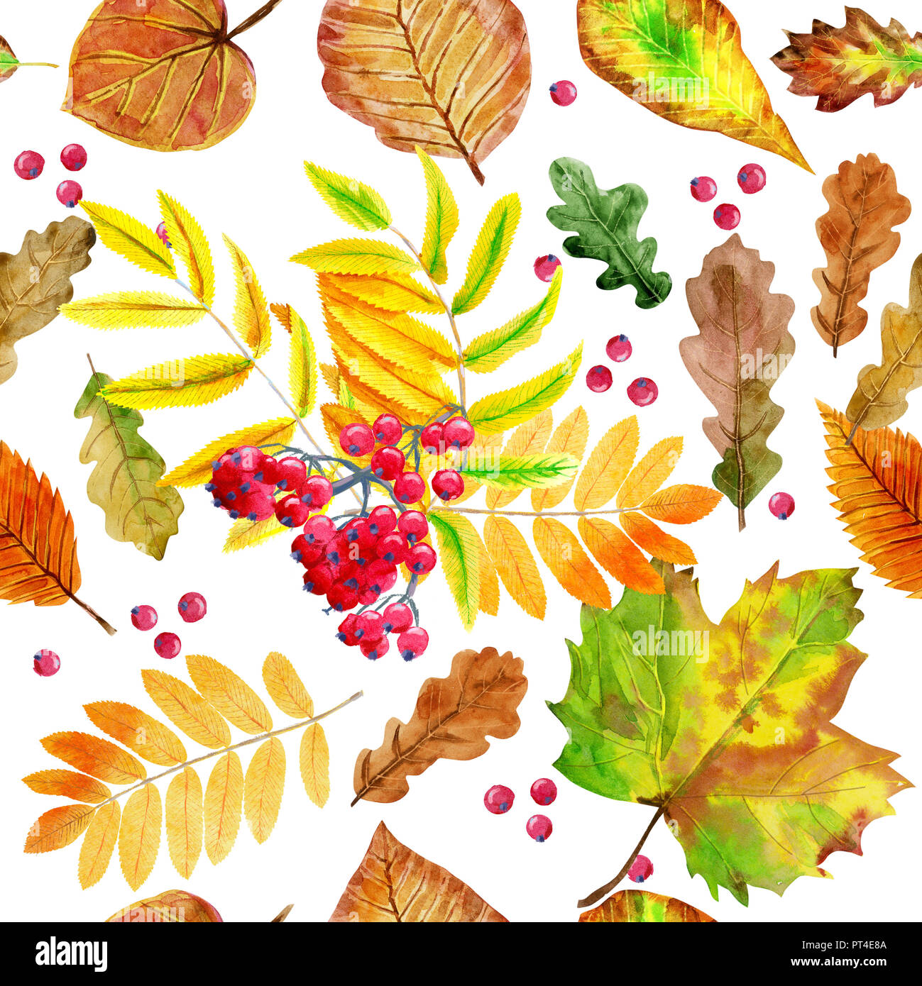 Floral seamless pattern con l'autunno lascia ad acquerello Foto Stock