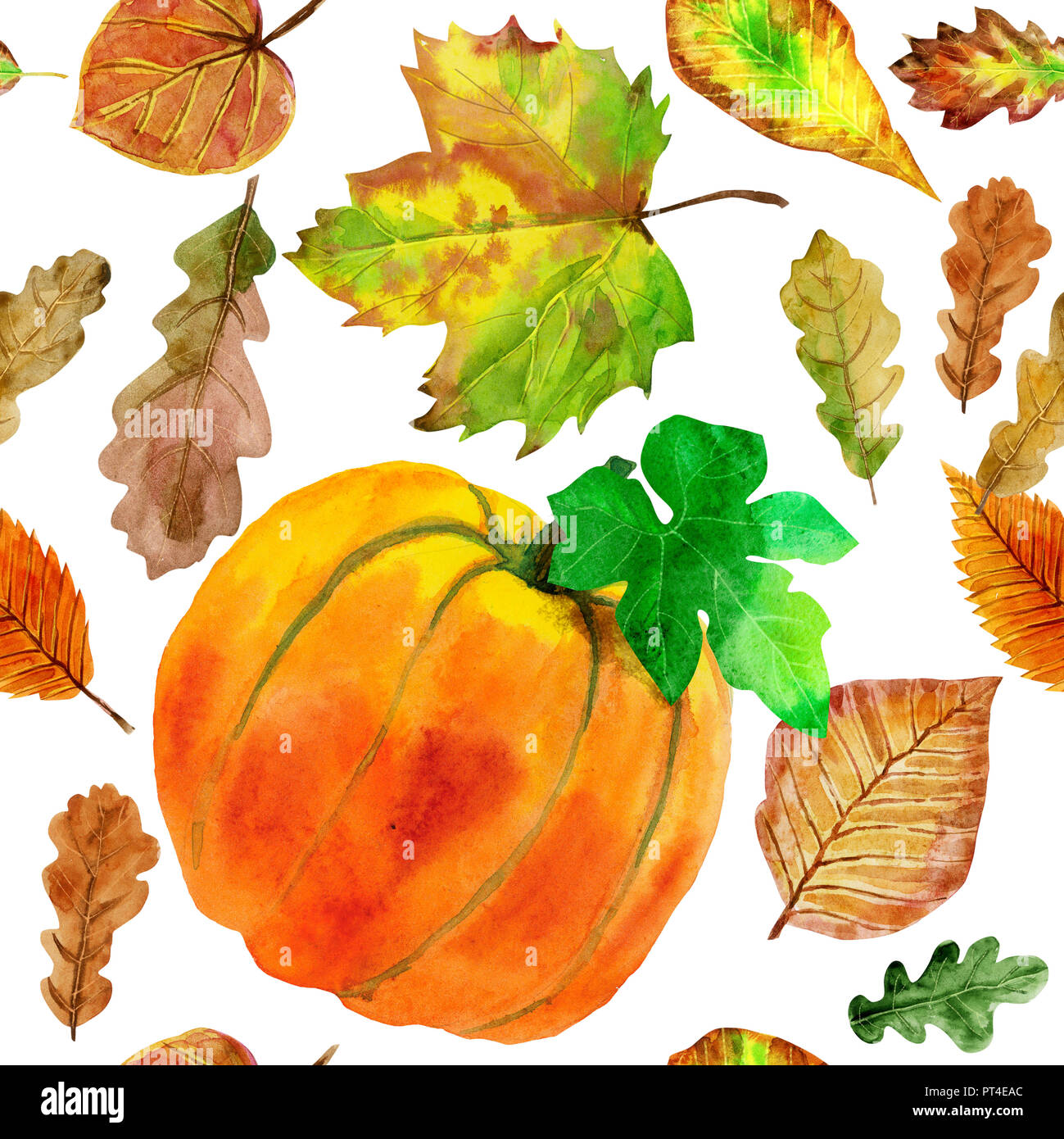 Floral seamless pattern con l'autunno acquerello di foglie e di zucca Foto Stock