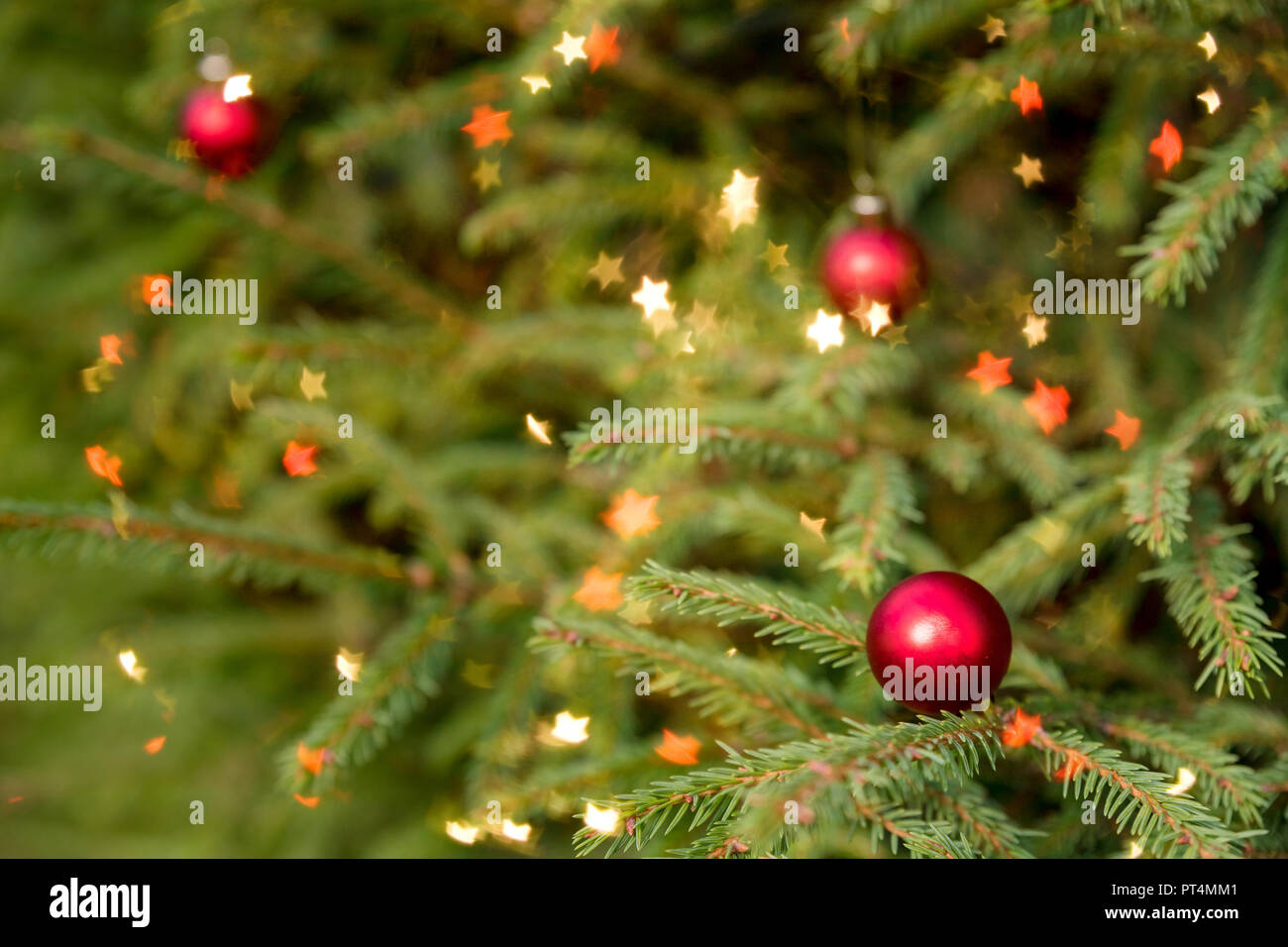 Albero di Natale decorato su sfocato, vini spumanti e fata sfondo.magicamente albero di Natale decorato con palline rosse, su un lucido sfocate, spumanti sfondo. Felice anno nuovo card Foto Stock