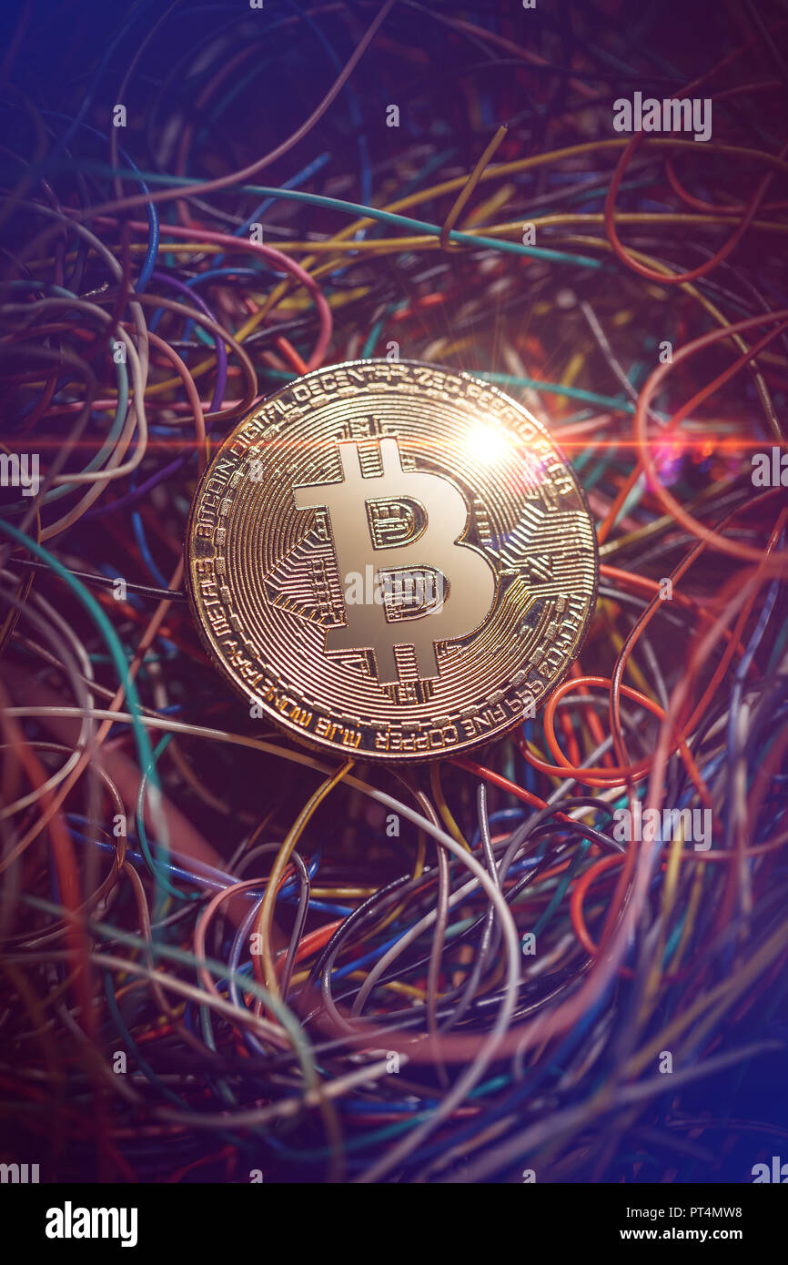Bitcoin moneta in oro e filo di rete connettori cavo patch cable Foto Stock