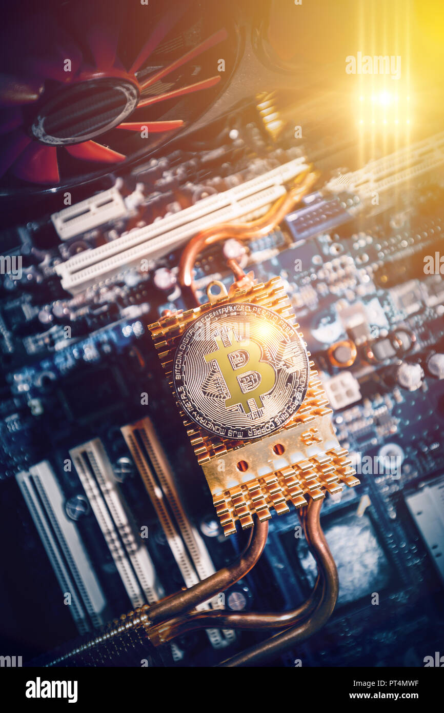 La moneta in oro del digitale valuta crypto Bitcoin risiede sulla scheda madre del computer Foto Stock