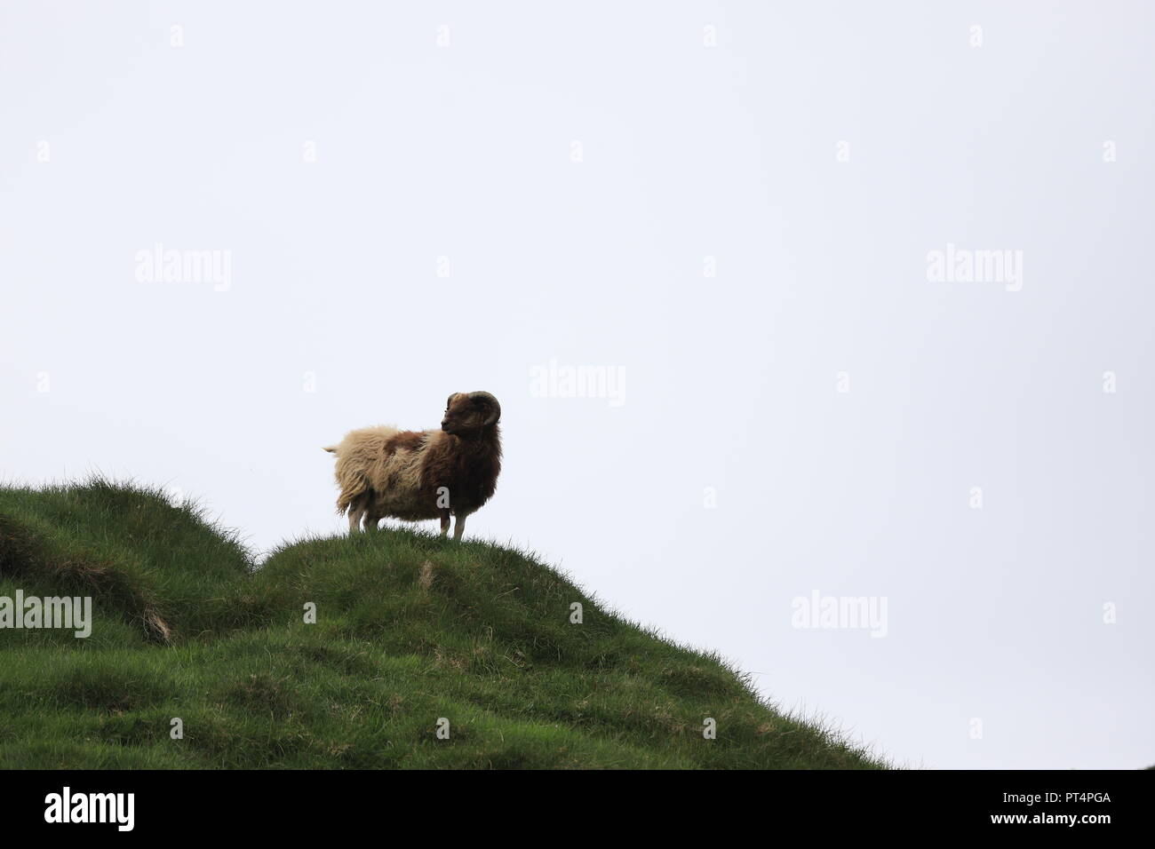 Al di sopra dei colli Foto Stock