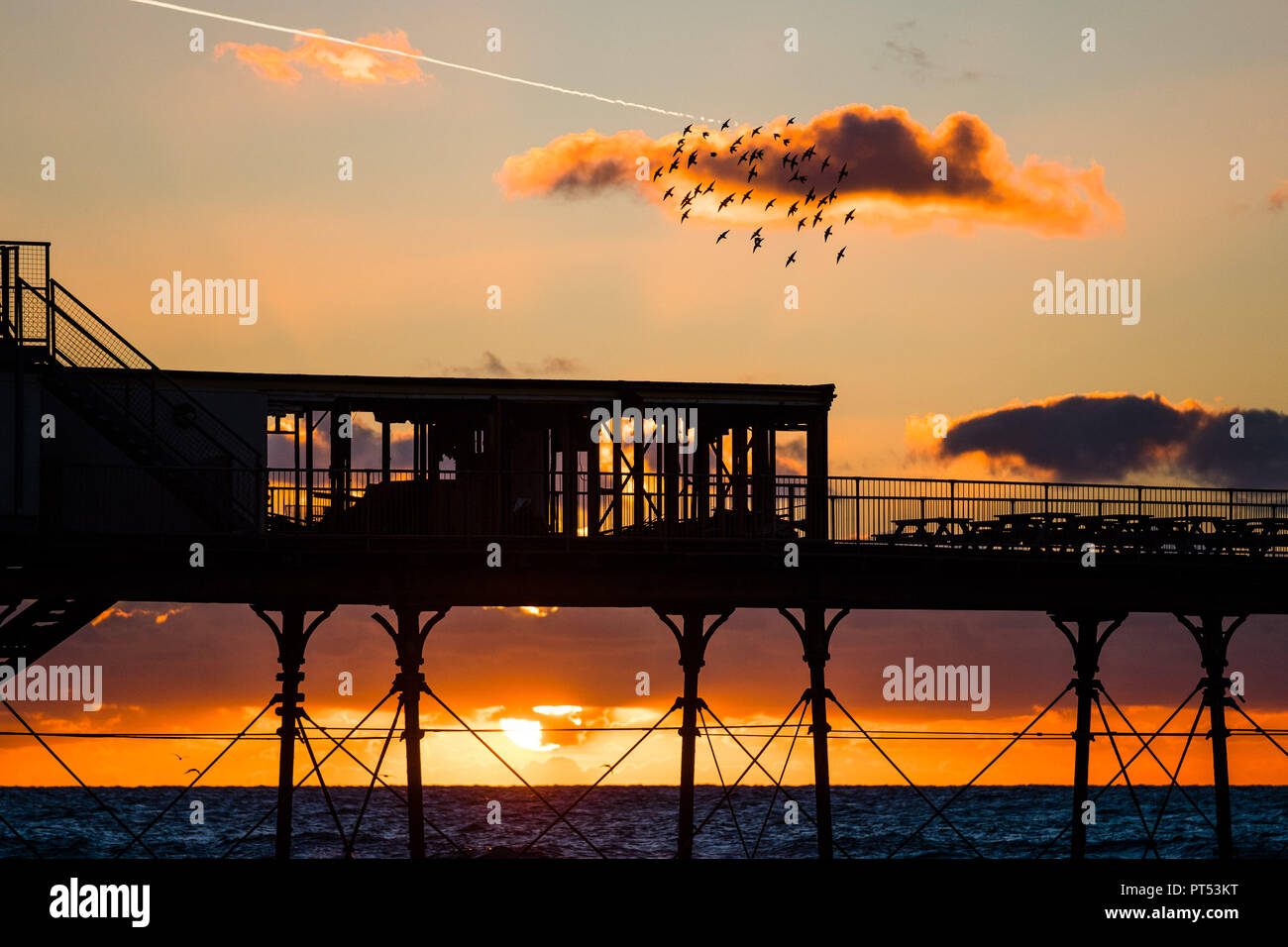 Aberystwyth Wales UK, sabato 06 ottobre 2018 UK Meteo: i primi gruppi di storni volare a roost al tramonto oltre la sagoma del molo Aberystwyth su Cardigan Bay costo, West Wales. Come gli storni migratori di ritorno dalla loro estate in Scandinavia, il murmurations sarà cresciuto in numeri per decine di migliaia di uccelli di vorticazione ogni sera durante l'inverno. Foto: cerdit Keith Morris / Alamy Live News Foto Stock