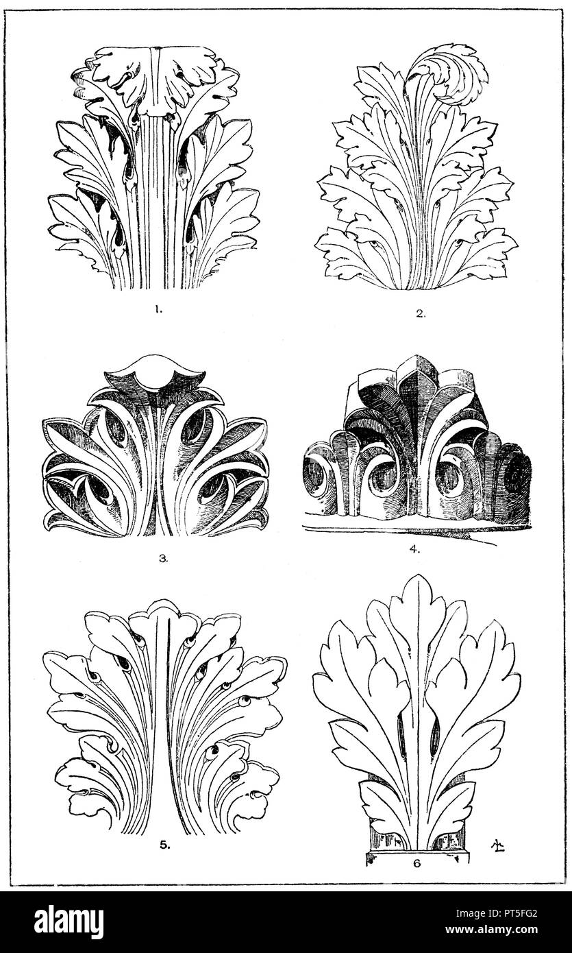 1. Foglie di acanto da una capitale Romana. (Raguenet). 2. Schematicamente  disegnato foglie di acanto, come è stato spesso usato sul rilievo romano,  z. Ad esempio, è un po' più ricchi sulle