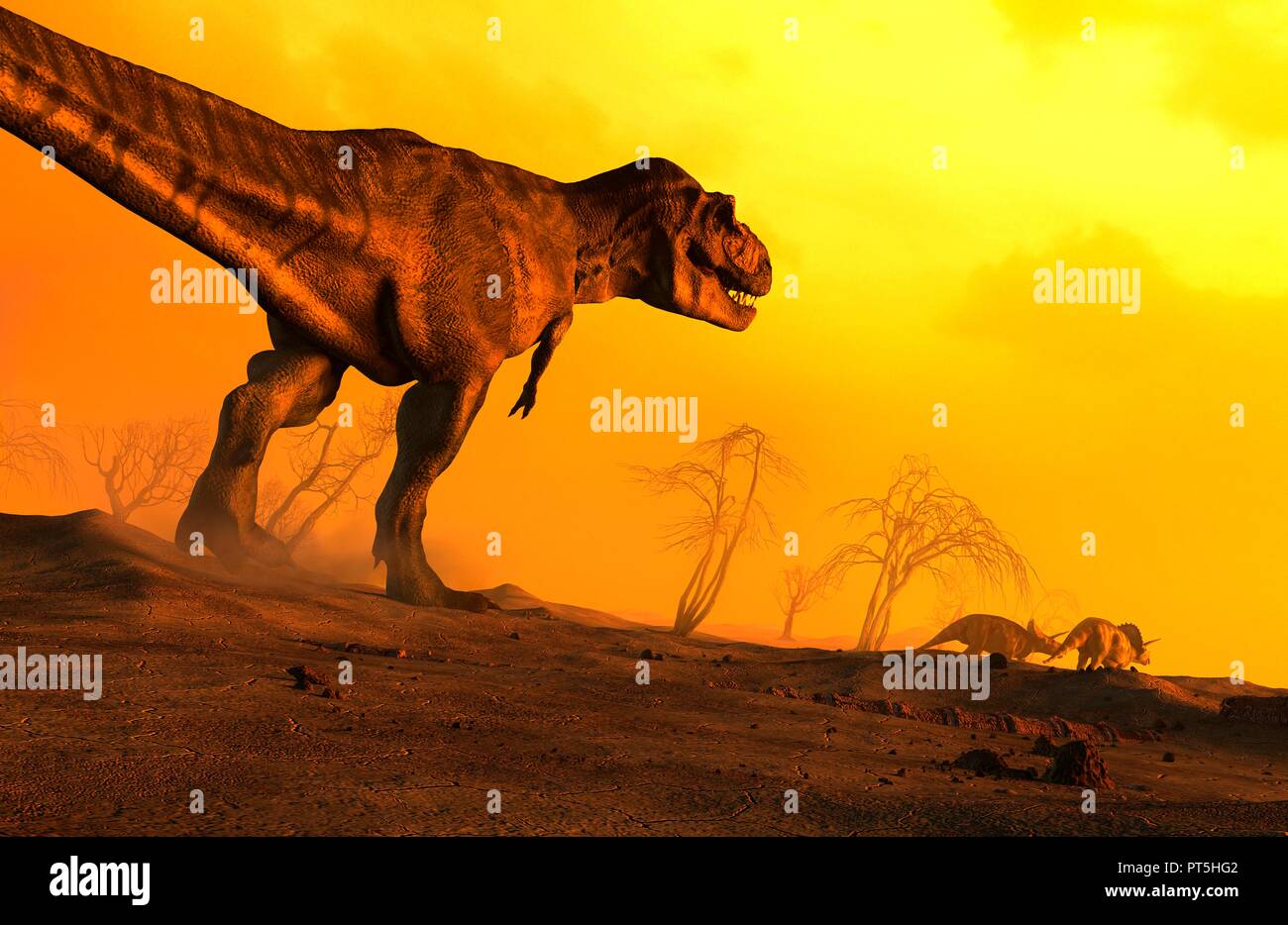 Illustrazione di un Tirannosauro Rex visto perseguire alcuni triceratops. Tirannosauro è stato uno degli ultimi dinosauri, annientati 65 milioni di anni fa durante l'evento di estinzione che si è conclusa il Cretacico. Gli scienziati ritengono che l'incidente è stato provocato da un impatto di un asteroide o cometa al largo di quello che è oggi il Messico. Tirannosauro probabilmente predati triceratops, che visse al tempo stesso anche in America del Nord. Foto Stock