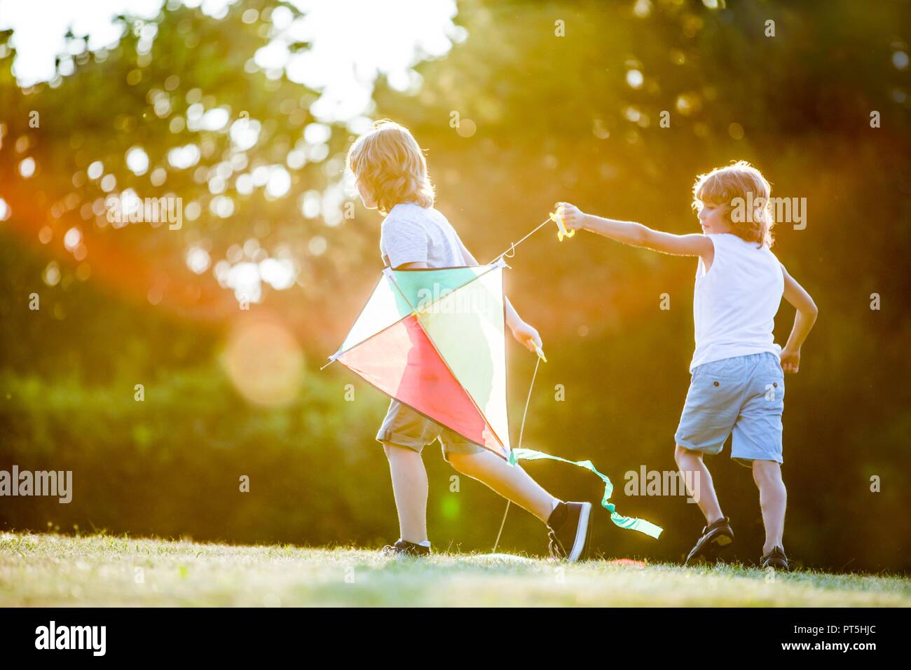 Ragazzi giocare con il kite in park. Foto Stock