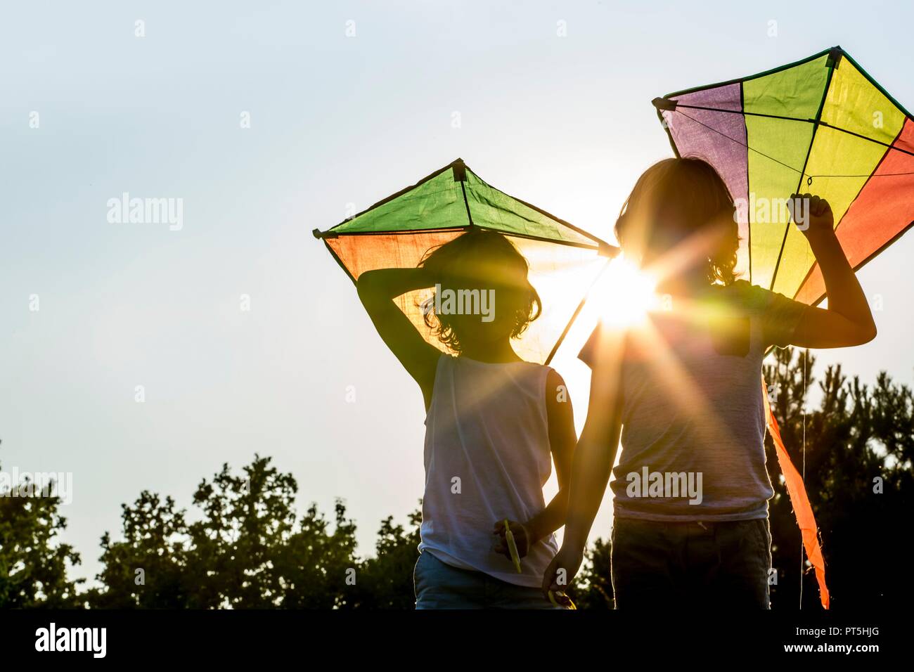 Ragazzi tenendo il kite in park. Foto Stock