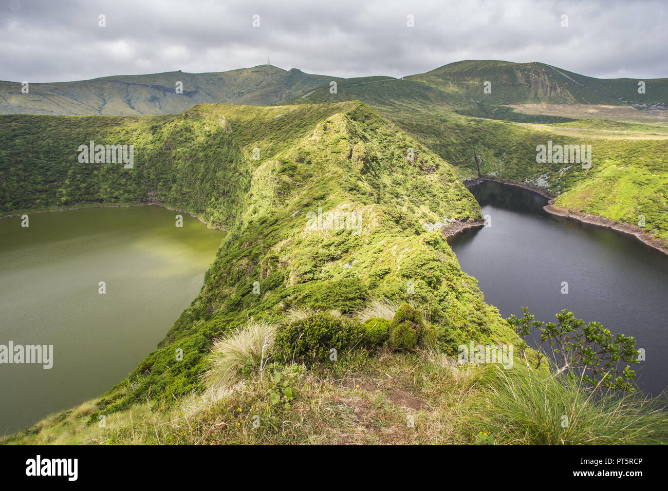 Il cratere del lago con le ortensie in primo piano, Caldeira Funda. Isole Azzorre, Portogallo Foto Stock