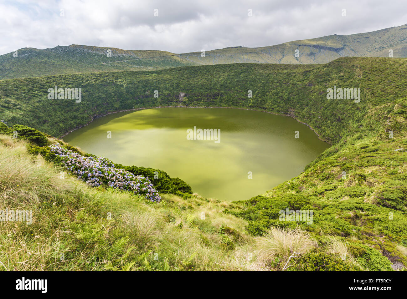 Il cratere del lago con le ortensie in primo piano, Caldeira Funda. Isole Azzorre, Portogallo Foto Stock