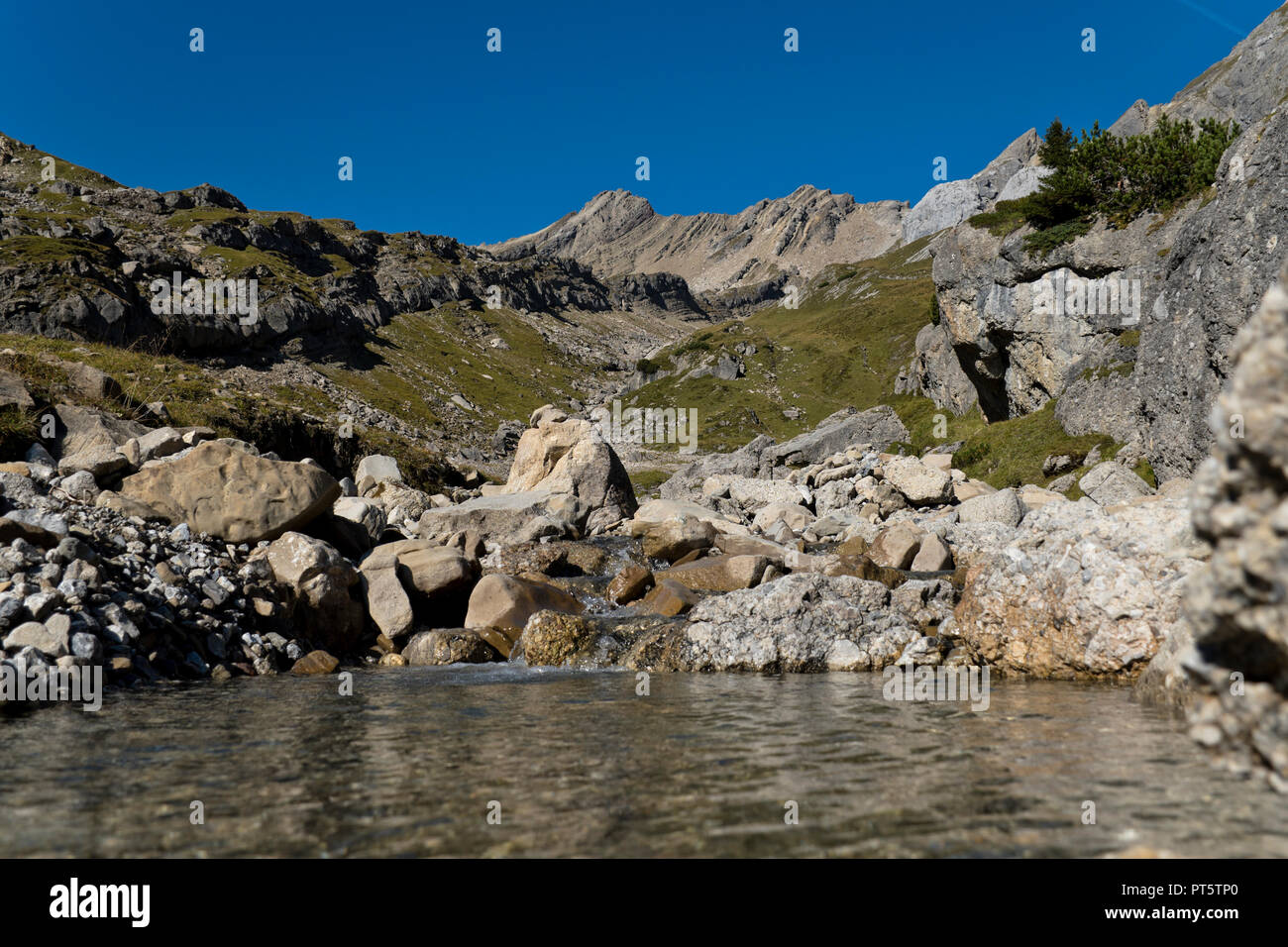 Mountain Creek nel lechtal Alpi vicino a Muttekopf. Foto Stock