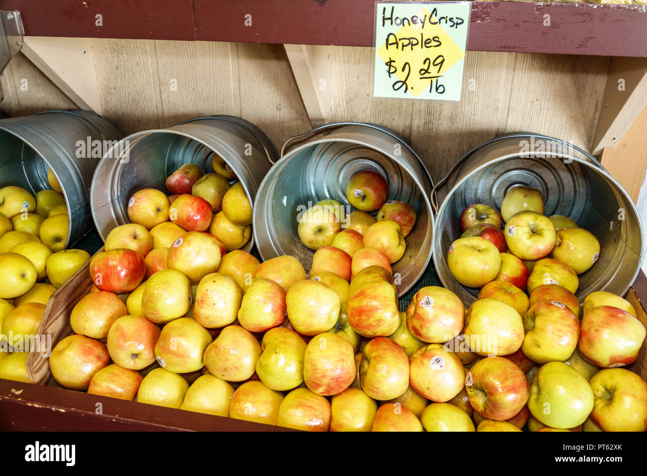 Sarasota Florida,Pinecraft Pine Craft,comunità Amish,Yoder's Fresh Market,shopping shopper acquirenti negozio negozi mercati di mercato di mercato di acquisto vendere Foto Stock