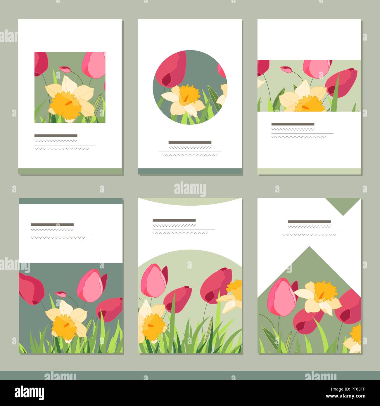 Set con sei motivi floreali modelli romantici. Tulipani, narcisi e erbe aromatiche Illustrazione Vettoriale