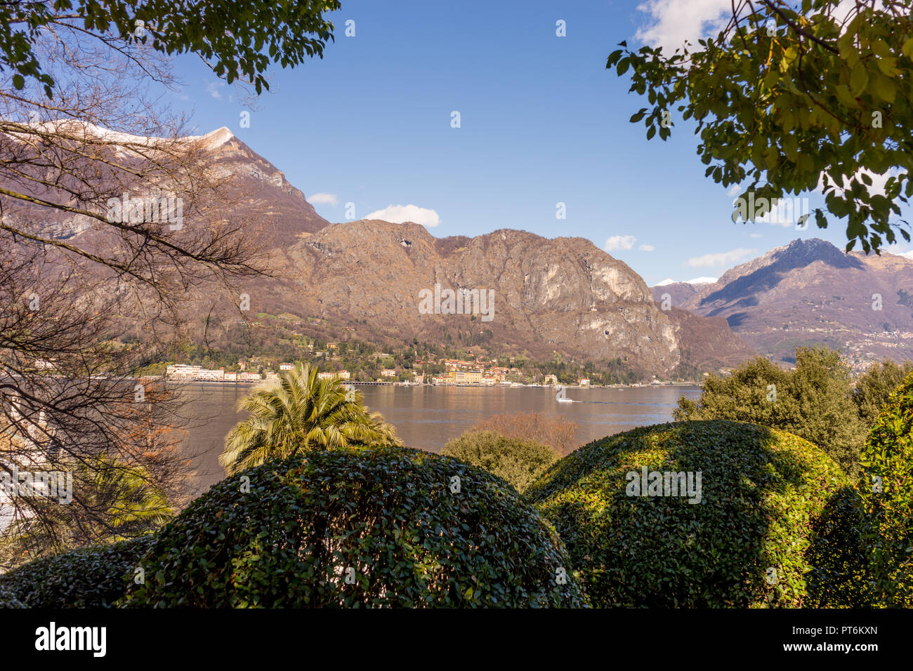 L'Europa, Italia, Bellagio Lago di Como, un albero con una montagna in background Foto Stock