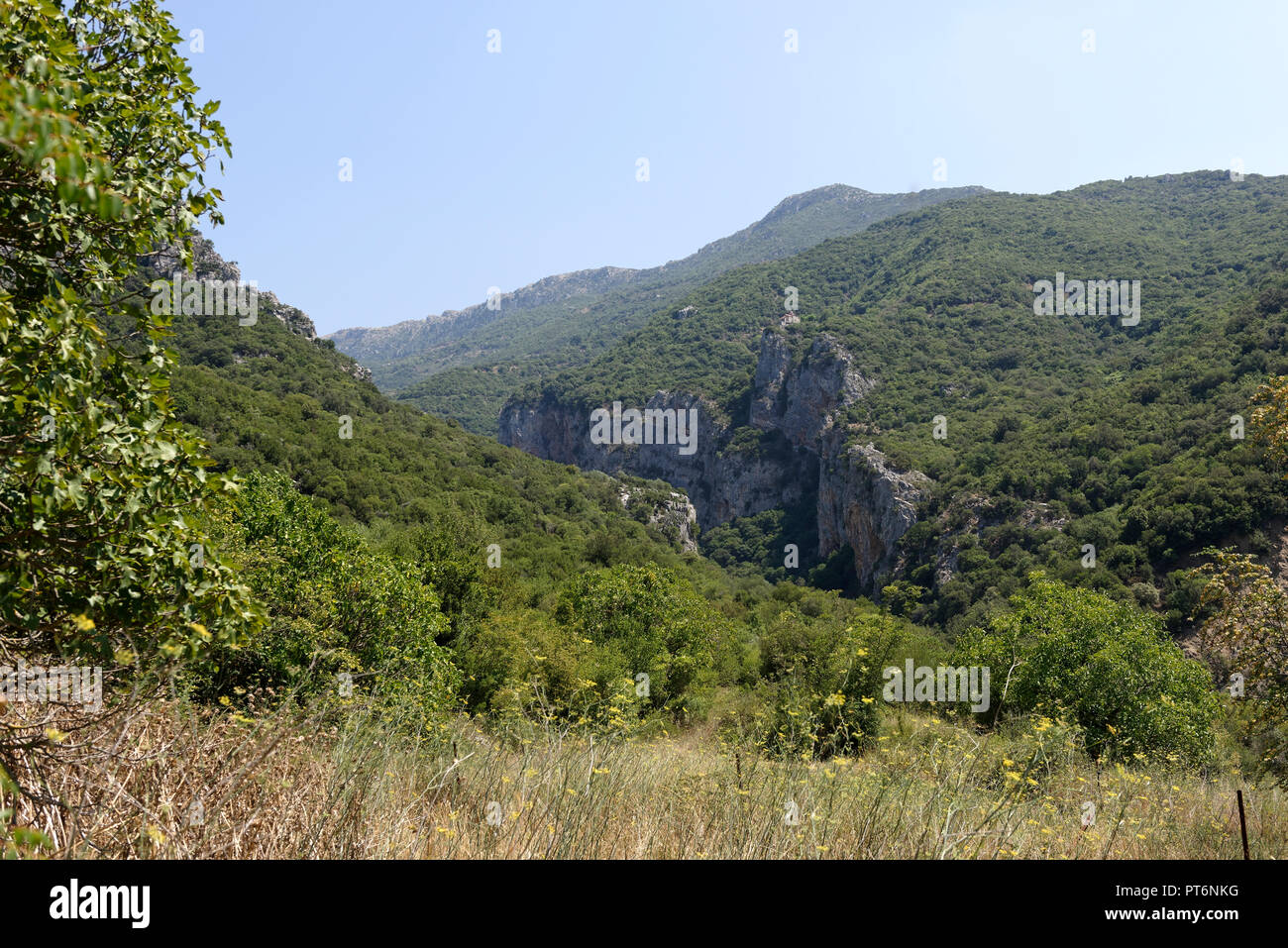 Vista dall antica Gortys del Lousios Gorge in western Arcadia che si estende da Karytaina nord a Dimitsana, Peloponneso. La Grecia. Foto Stock