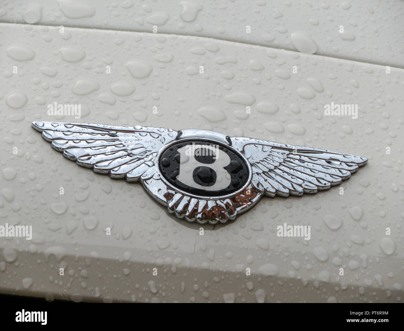 Monogramma cromato su un 2018 Bentley Continental GT convertibile. Proprietà rilasciato. Foto Stock