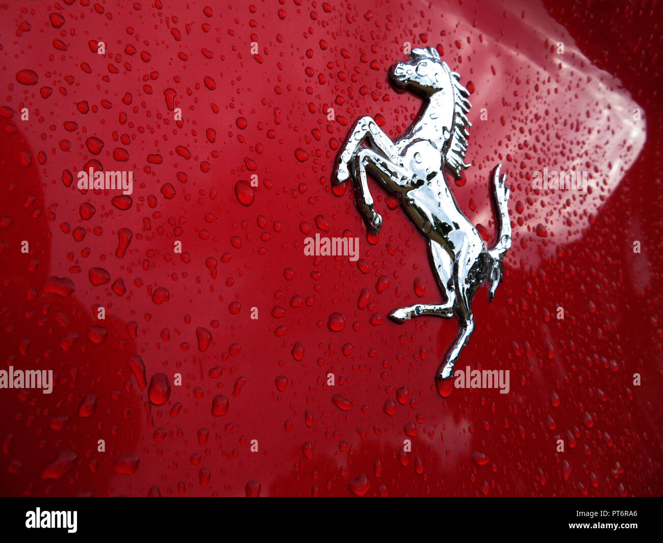 Logo del cavallo rampante cromato su una ferrari rossa immagini e ...