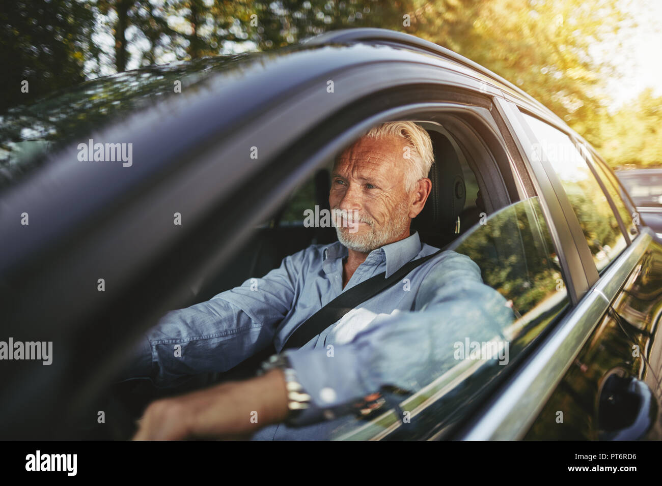 Senior sorridente uomo seduto da solo nella sua auto godendo di un'unità su di un viale alberato strada di campagna Foto Stock