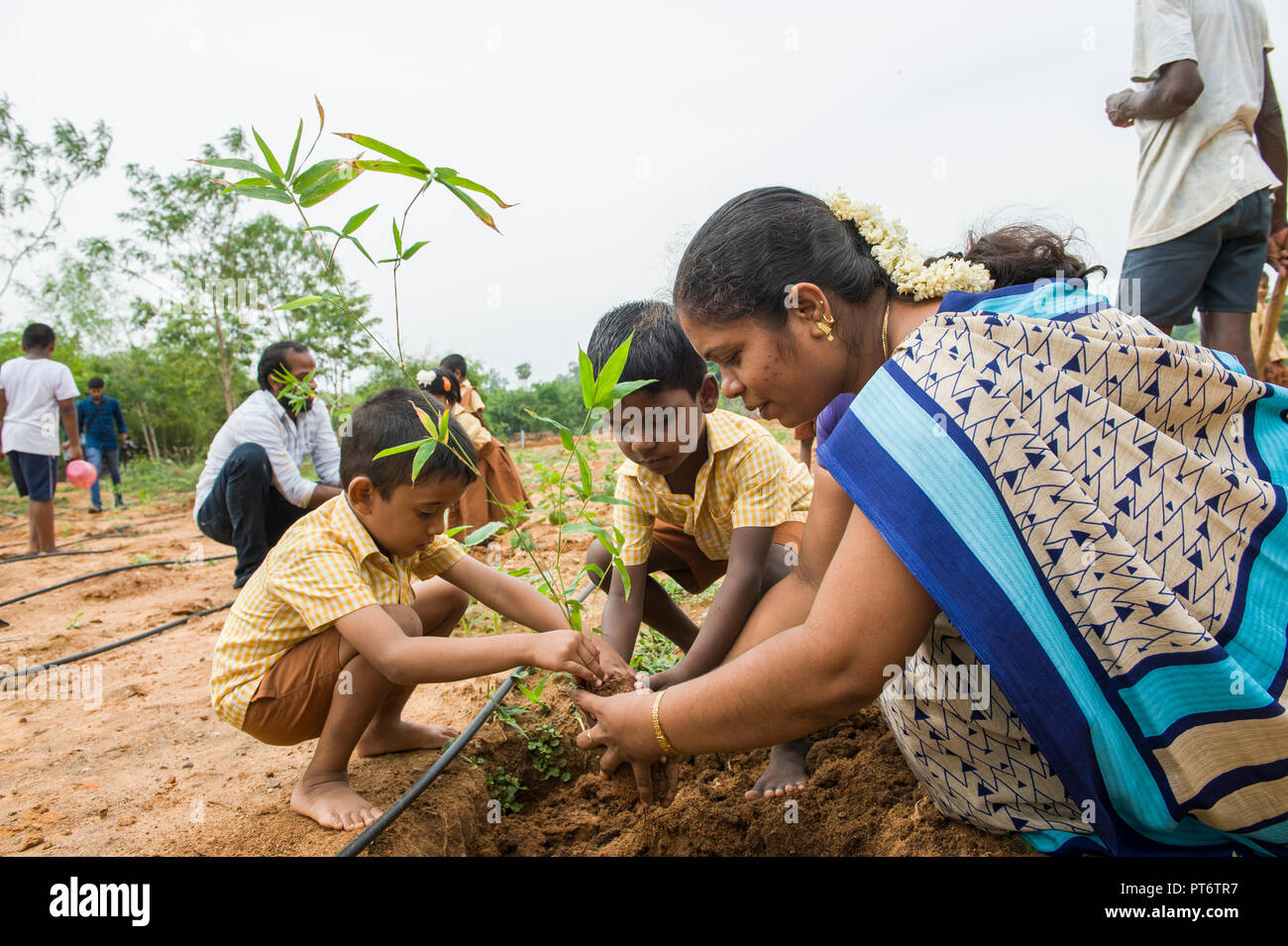 Il Tamil Nadu, India - Settembre 2018: insegnare ai bambini come piantare una pianta di bambù Foto Stock