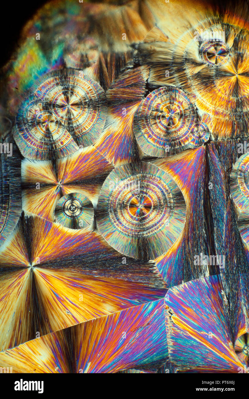 Salicina fusione chimica micro slitta a croce illuminazione polarizzata, fotomicrografia, Salicina è anche comunemente trovati in Corteccia di Populus specie. Foto Stock