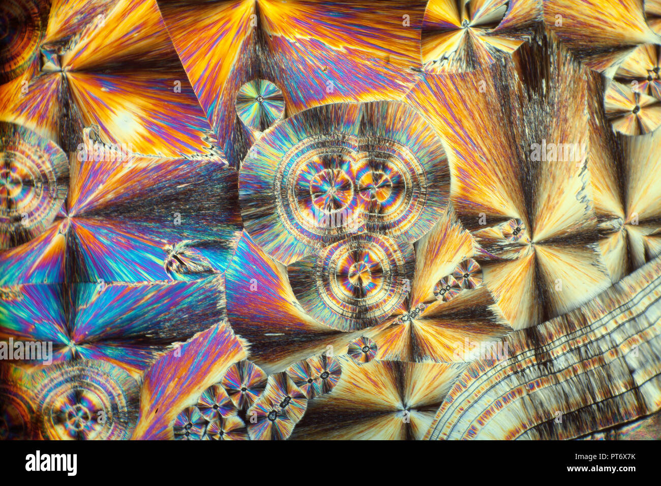 Microscopio polarizzatore immagini e fotografie stock ad alta risoluzione -  Alamy