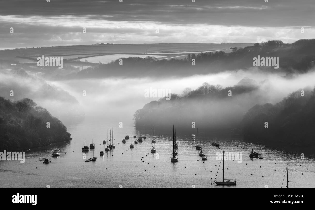 Misty ormeggi Fowey estuario, Cornwall Foto Stock
