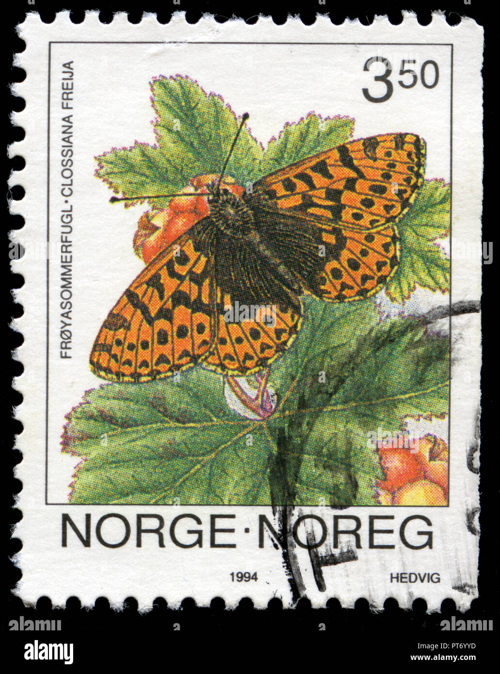 Con timbro postale timbro dalla Norvegia dalla serie farfalle emessi nel 1994 Foto Stock