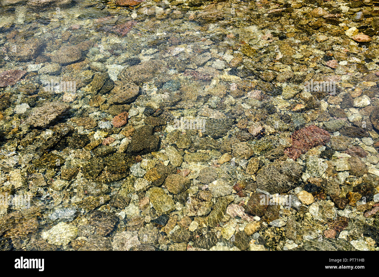 Colorato piccolo unico ciottoli in chiaro a freddo acqua di fiume. Sun rendono differente riflessione. Smoоth nervata e ciottoli. Piccole pietre. Foto Stock