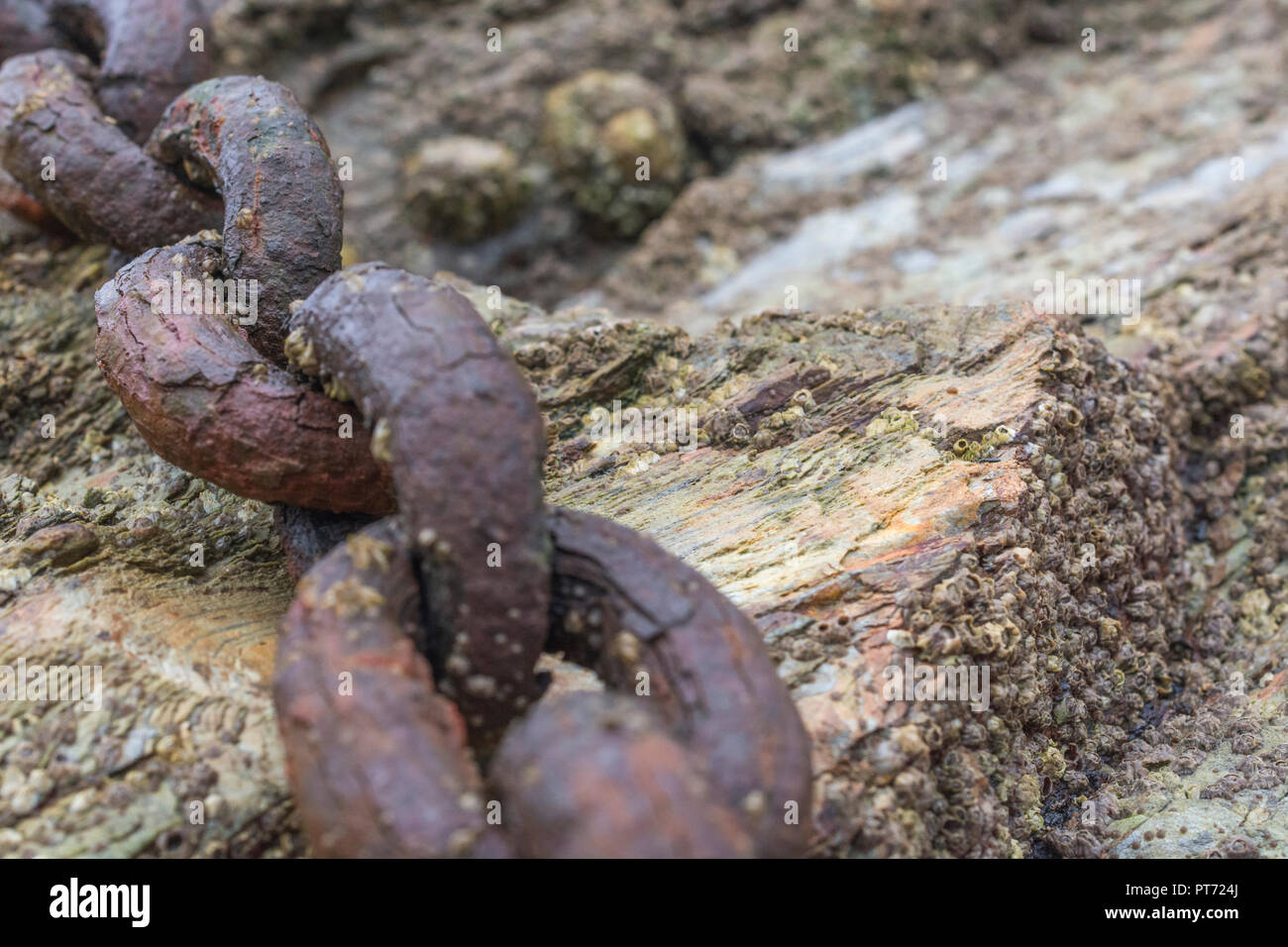 Vecchie e arrugginite le catene di ormeggio. Metafora forti legami più forti, link, stringono legami, stretti legami. Foto Stock