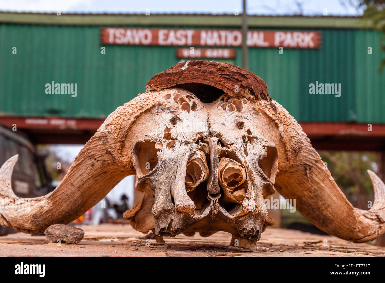 Entrata al Tsavo il parco nationlao in africa Foto Stock