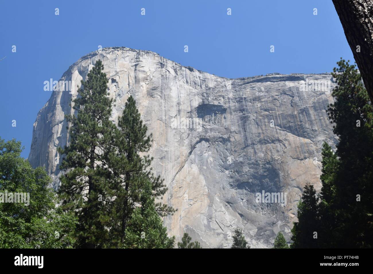 Parco Nazionale di Yosemite in California Foto Stock