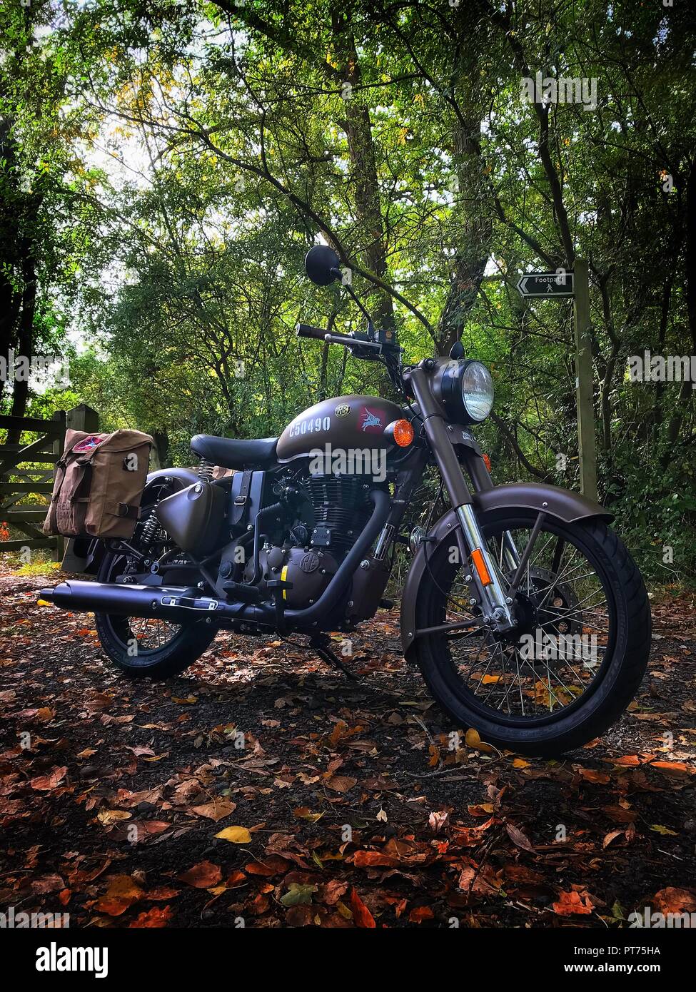 Royal Enfield Pegasus in autunno in legno Foto Stock